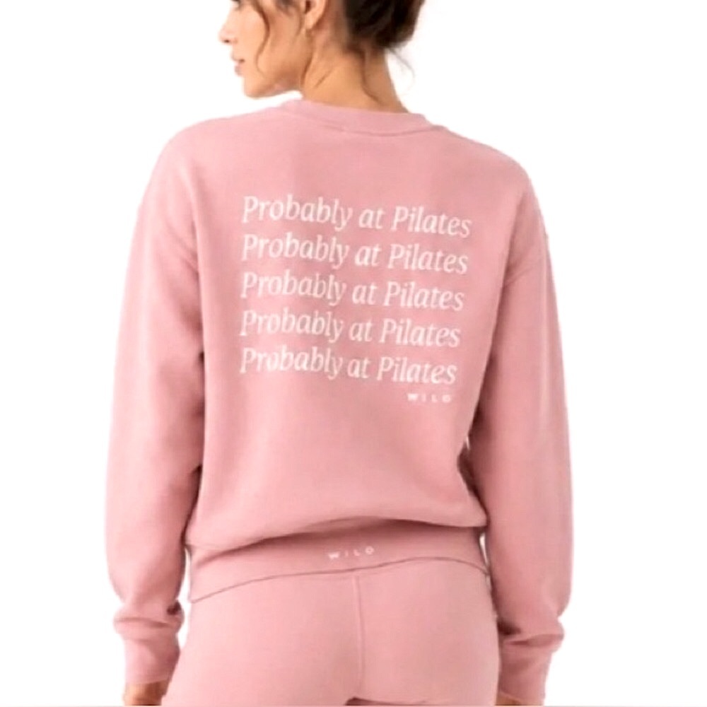 Brand New! Wilo Probably at Pilates' Relaxed Sweatshirt - Dusty Rose Bow Graphic